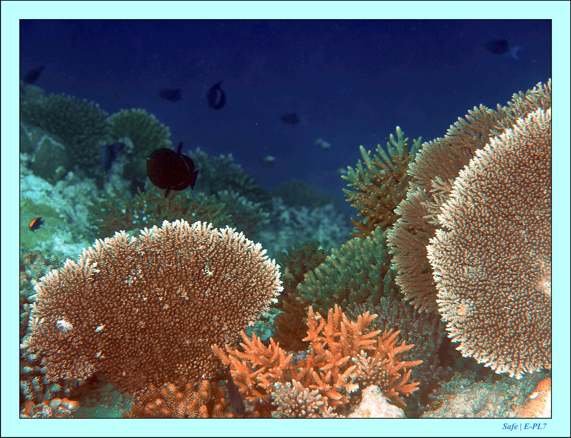 2023 - 07 - Sandies Bathala - 219